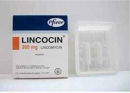 LINCOBIOTIC 300MG I.M./I.V. 3 AMP