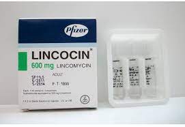 LINCOMYCIN HYDROCHLORIDE 600MG/2ML I.V./I.M. 3 AMP