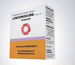 LINCONOCURE 600MG/2ML SOLUTN. FOR I.V/I.M INJECTION (AMP.)