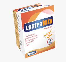 LOSTRAMIX 10 SACHETS