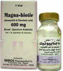 MAGNABIOTIC 600MG VIAL