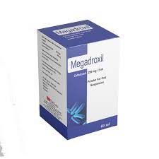 MEGADROXIL 250MG/5ML ORAL SUSP. 60 ML