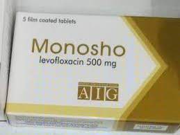 MONOSHO 500 MG 5 F.C.TABS