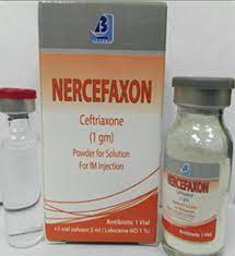 NERCEFAXON 500 MG I.M. VIAL