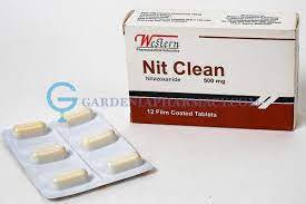 NIT CLEAN 500MG 12 F.C. TABS