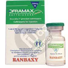 OFRAMAX 250 MG I.M. VIAL