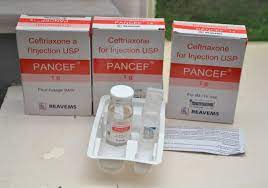 PANCEF 750MG I.M/I.V.VIAL