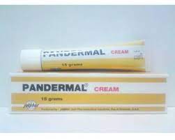 PANDERMAL OINT. 15 GM