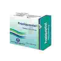 PRAZIQUANTEL 600MG 4 F.C.TAB