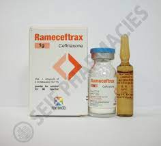 RAMECEFTRAX 1 GM I.M. VIAL