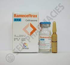 RAMECEFTRAX 500 MG VIAL FOR I.M. INJ