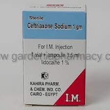 ROCEPHIN 1 GM I.M.VIAL (N/A)