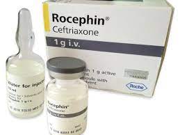 ROCEPHIN 1 GM I.V. VIAL (N/A)