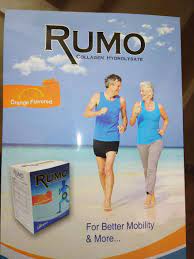 RUMO 10 SACHETS 10 GM