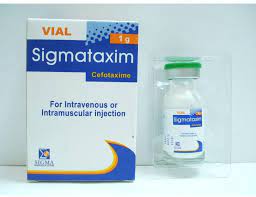 SIGMATAXIM 1 GM I.V/I.M VIAL