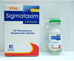 SIGMATAXIM 500 MG I.V. / I.M. VIAL