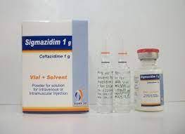 SIGMAZIDIM 1 GM VIAL FOR I.V./I.M. INJ