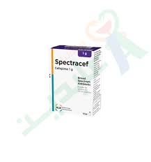 SPECTRACEF 0.5 GM I.M/I.V VIAL