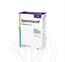 SPECTRACEF 1 GM I.M/I.V VIAL