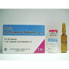 STERILE CEFTRIAXONE SODIUM 1 GM VIAL FOR I.M. INJ