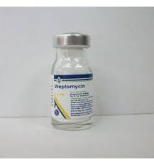 STREPTOMYCIN-EL NILE 1GM VIAL