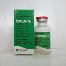 SURVANTA INTRATRACHEAL 8ML VIAL