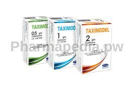 TAXIMODEL 500 MG I.M./I.V.VIAL