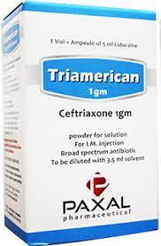 TRIAMERICAN 1 GM I.M. VIAL