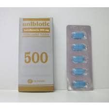 UNIBIOTIC 250 MG 5 F.C.TABS