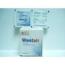 WESTAIR 4 MG 14 SACHETS