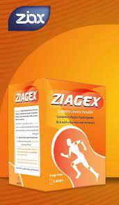 ZIAGEX 10 SACHETS