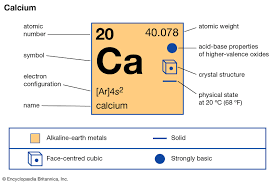 CALCIUM & VIT.C 20 EFF. TABS