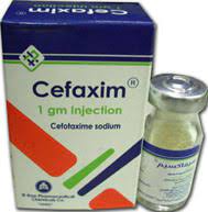 CEFAXIM  500MG VIAL