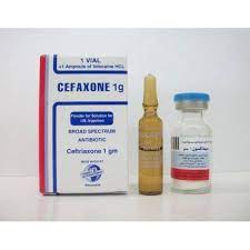 CEFAXONE 1 GM I.M. VIAL