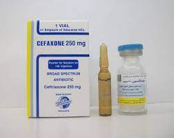 CEFAXONE 250MG I.V. VIAL