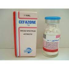 CEFAZONE 1 GM VIAL