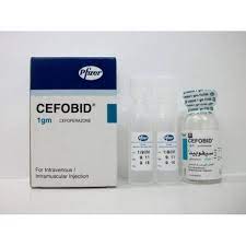 CEFOBID 1 GM VIAL (I.V-I.M)