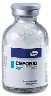 CEFOBID 2 GM VIAL