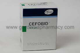 CEFOBID 500MG VIAL (I.V-I.M)