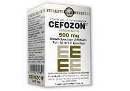 CEFOPERAZONE 500 MG VIAL FOR I.M./I.V