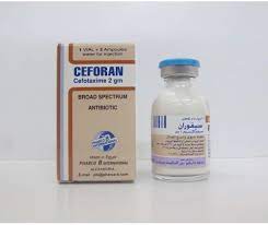 CEFORAN 2 GM I.M./I.V. VIAL