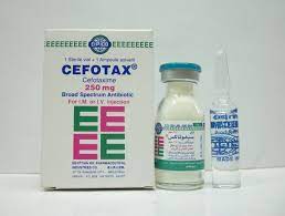 CEFOTAX (UP PHARMA) 250 MG VIAL