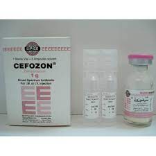 CEFOZON 1 GM VIAL