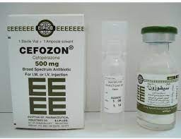 CEFOZON 500MG I.M./I.V.VIAL