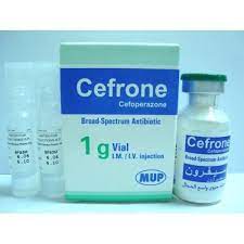 CEFRONE 1 GM VIAL