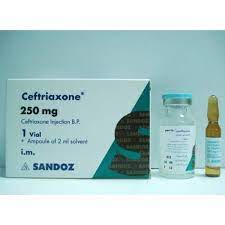 CEFTRIAXONE-EVA 250 MG I.M. VIAL