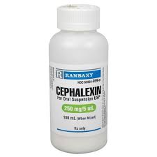 CEPHALEXIN 250MG/5ML SUSP. 60ML USP24