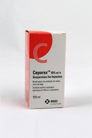 CEPOREX 1 GM VIAL