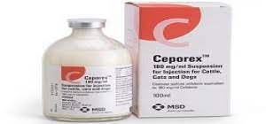 CEPOREX 500 MG VIAL