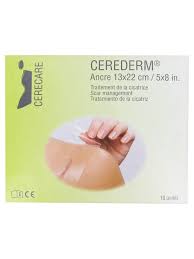 CEREDERM PLASTER ANCHOR 13*22CM 10 PATCHES